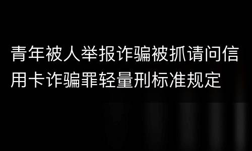 青年被人举报诈骗被抓请问信用卡诈骗罪轻量刑标准规定