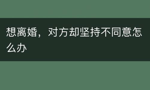 想离婚，对方却坚持不同意怎么办