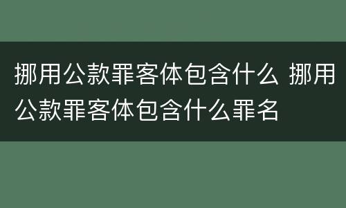 挪用公款罪客体包含什么 挪用公款罪客体包含什么罪名