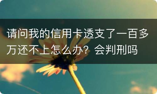 请问我的信用卡透支了一百多万还不上怎么办？会判刑吗
