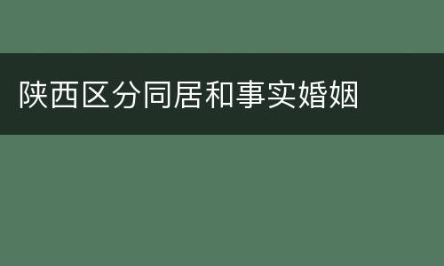 陕西区分同居和事实婚姻
