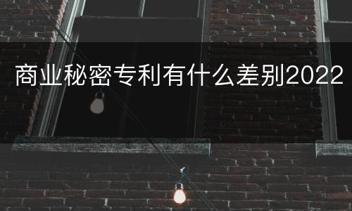商业秘密专利有什么差别2022