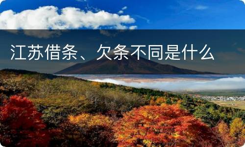 江苏借条、欠条不同是什么