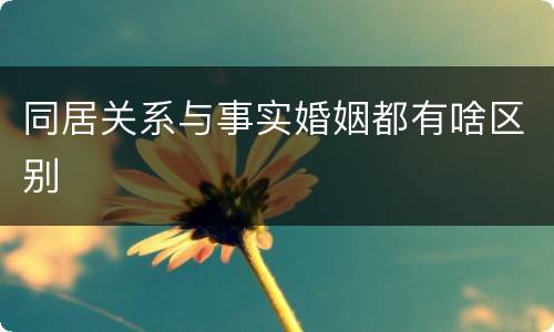 同居关系与事实婚姻都有啥区别