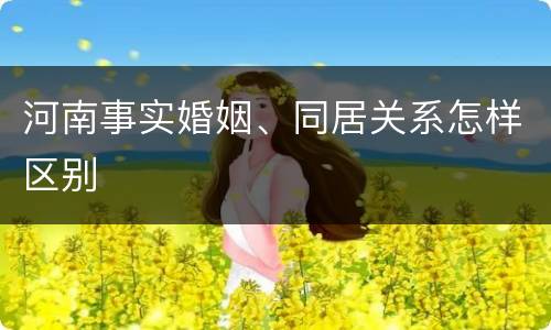 河南事实婚姻、同居关系怎样区别