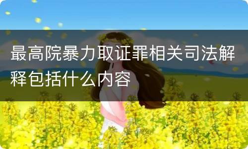最高院暴力取证罪相关司法解释包括什么内容