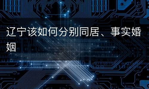 辽宁该如何分别同居、事实婚姻