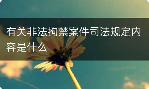 有关非法拘禁案件司法规定内容是什么