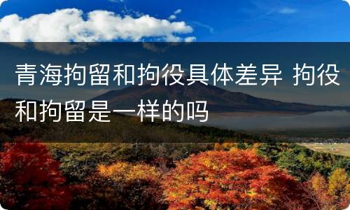 青海拘留和拘役具体差异 拘役和拘留是一样的吗