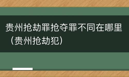 贵州抢劫罪抢夺罪不同在哪里（贵州抢劫犯）