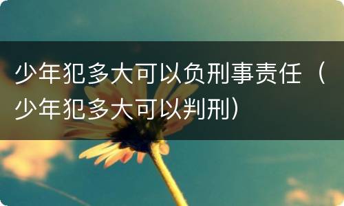 少年犯多大可以负刑事责任（少年犯多大可以判刑）