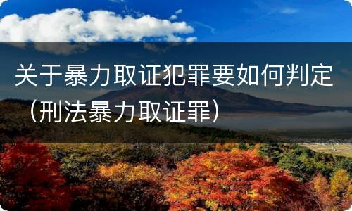 关于暴力取证犯罪要如何判定（刑法暴力取证罪）