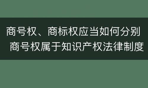 商号权、商标权应当如何分别 商号权属于知识产权法律制度的是