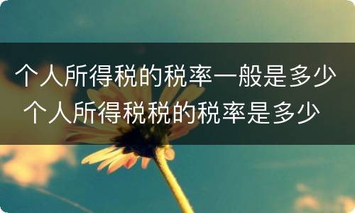 个人所得税的税率一般是多少 个人所得税税的税率是多少