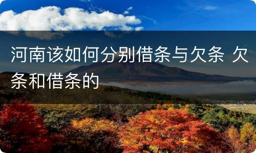 河南该如何分别借条与欠条 欠条和借条的