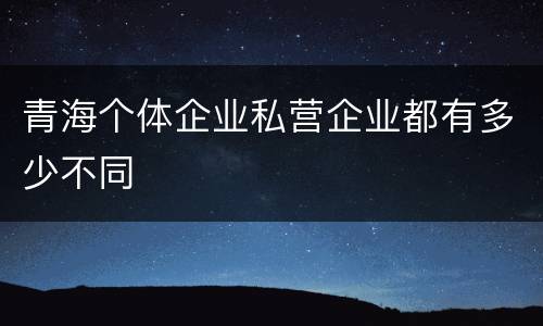 青海个体企业私营企业都有多少不同