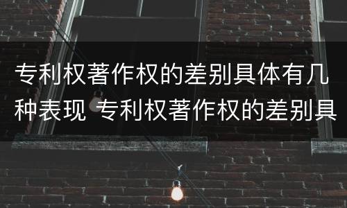 专利权著作权的差别具体有几种表现 专利权著作权的差别具体有几种表现形态