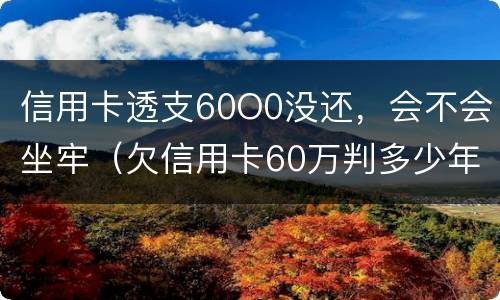 信用卡透支60O0没还，会不会坐牢（欠信用卡60万判多少年）