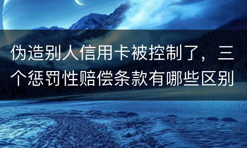 伪造别人信用卡被控制了，三个惩罚性赔偿条款有哪些区别呢