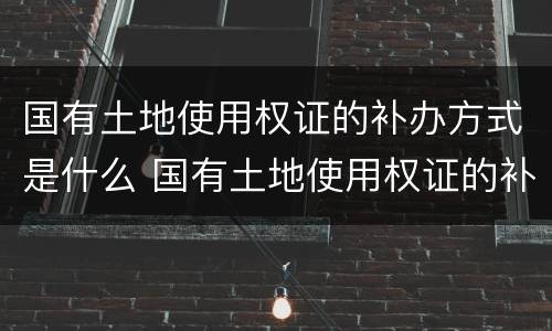 国有土地使用权证的补办方式是什么 国有土地使用权证的补办方式是什么意思