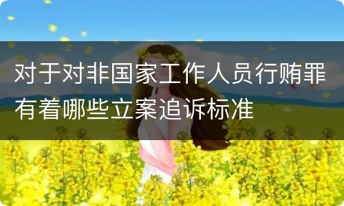 对于对非国家工作人员行贿罪有着哪些立案追诉标准