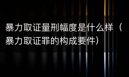 暴力取证量刑幅度是什么样（暴力取证罪的构成要件）