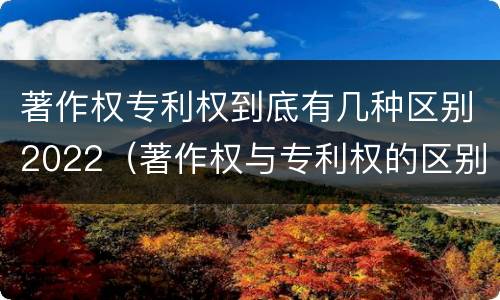 著作权专利权到底有几种区别2022（著作权与专利权的区别有哪些）