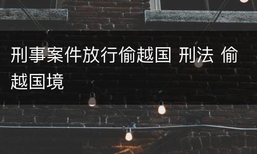 刑事案件放行偷越国 刑法 偷越国境