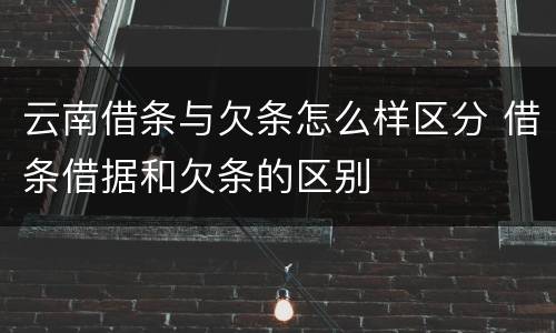 云南借条与欠条怎么样区分 借条借据和欠条的区别