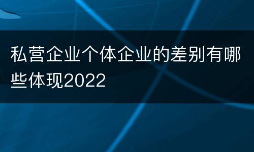 私营企业个体企业的差别有哪些体现2022