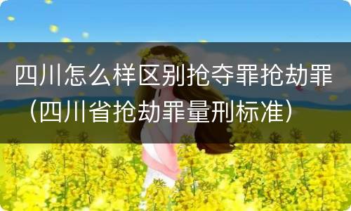四川怎么样区别抢夺罪抢劫罪（四川省抢劫罪量刑标准）