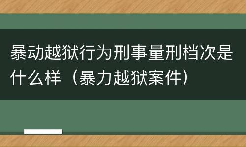 暴动越狱行为刑事量刑档次是什么样（暴力越狱案件）