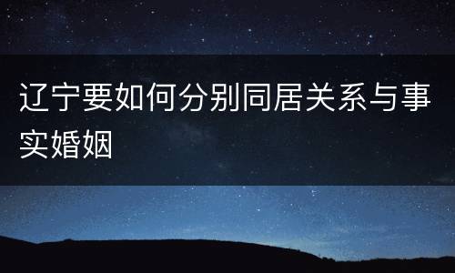 辽宁要如何分别同居关系与事实婚姻