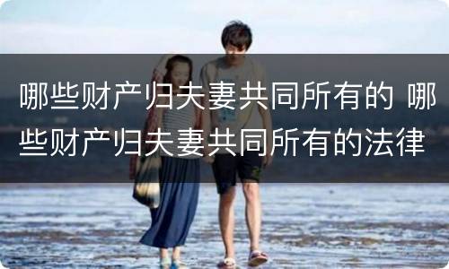 哪些财产归夫妻共同所有的 哪些财产归夫妻共同所有的法律规定