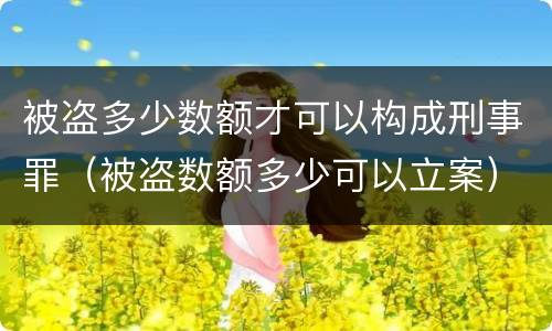 被盗多少数额才可以构成刑事罪（被盗数额多少可以立案）