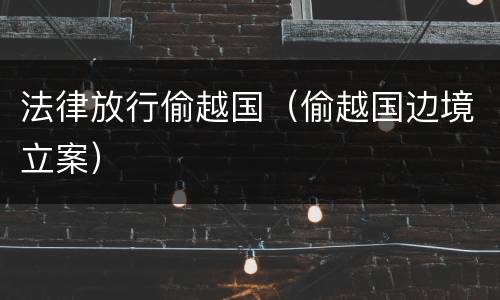 法律放行偷越国（偷越国边境立案）