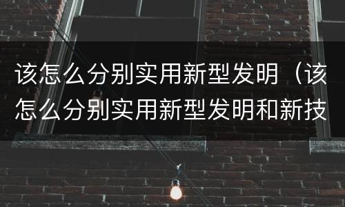 该怎么分别实用新型发明（该怎么分别实用新型发明和新技术）
