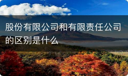 股份有限公司和有限责任公司的区别是什么
