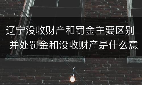 辽宁没收财产和罚金主要区别 并处罚金和没收财产是什么意思