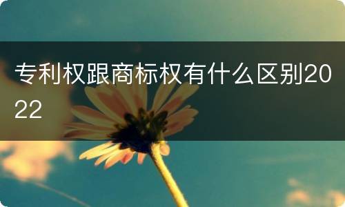 专利权跟商标权有什么区别2022