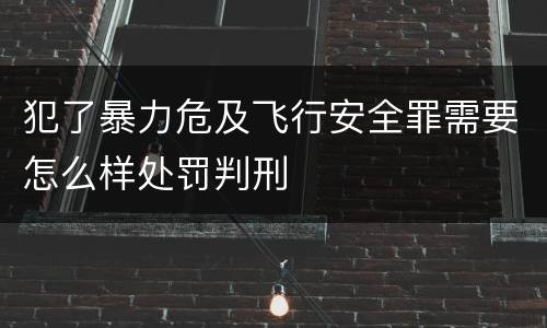 犯了暴力危及飞行安全罪需要怎么样处罚判刑