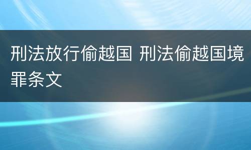刑法放行偷越国 刑法偷越国境罪条文