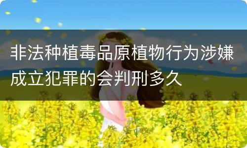非法种植毒品原植物行为涉嫌成立犯罪的会判刑多久