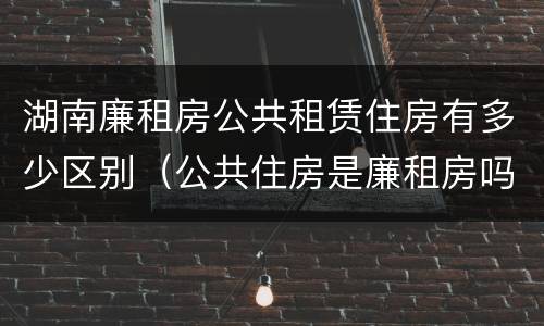 湖南廉租房公共租赁住房有多少区别（公共住房是廉租房吗）
