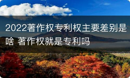 2022著作权专利权主要差别是啥 著作权就是专利吗