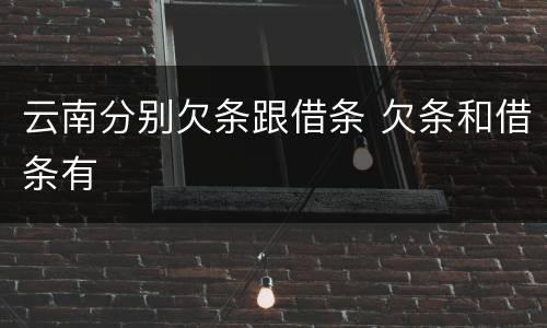 云南分别欠条跟借条 欠条和借条有