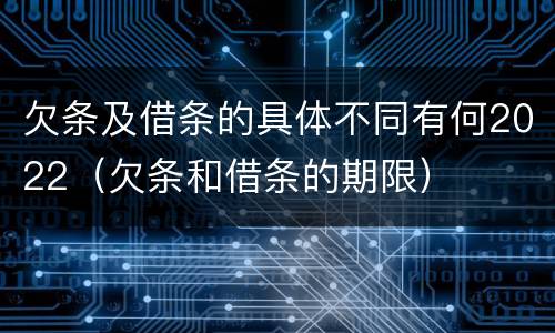 欠条及借条的具体不同有何2022（欠条和借条的期限）