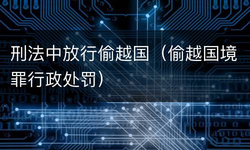 刑法中放行偷越国（偷越国境罪行政处罚）