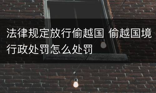 法律规定放行偷越国 偷越国境行政处罚怎么处罚