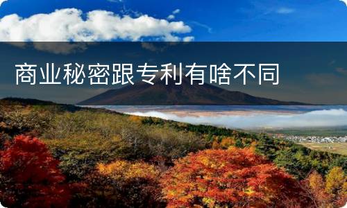 商业秘密跟专利有啥不同